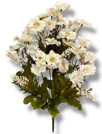20 Mini Daisy/Astible Bush ( 106363-CR )