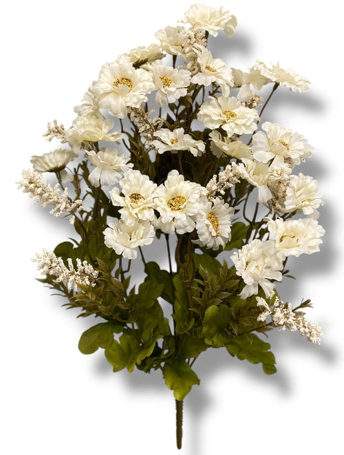 20 Mini Daisy/Astible Bush ( 106363-CR )