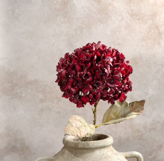 Burgundy Hydrangea Branch