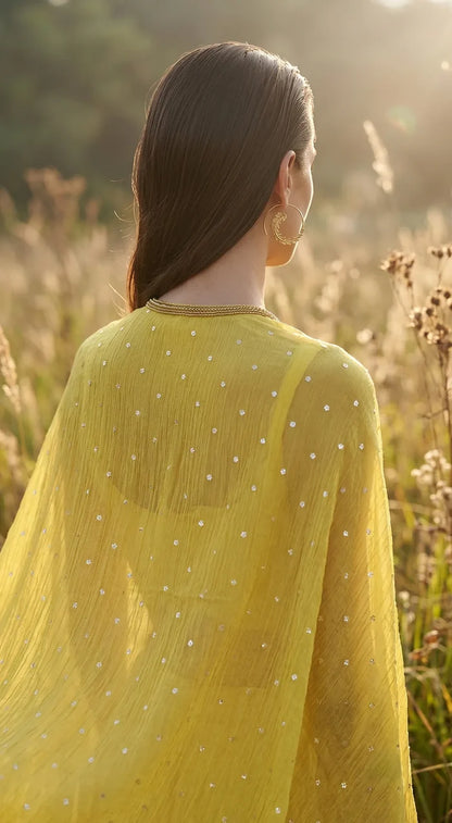 Citrine Muse Phulkari Cape Set