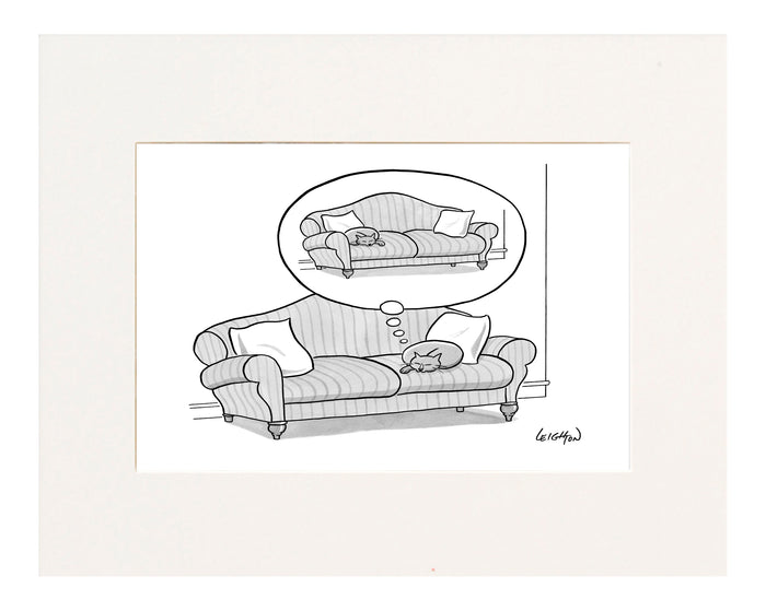 Cat on a couch dreaming about being on the other side of the couch.