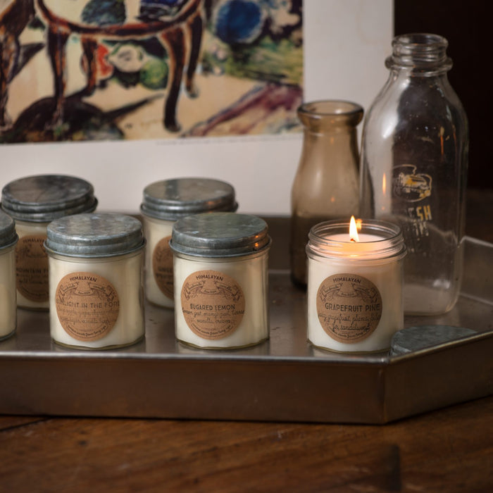 Curiosity Jar Candle 10 oz-Lange General Store
