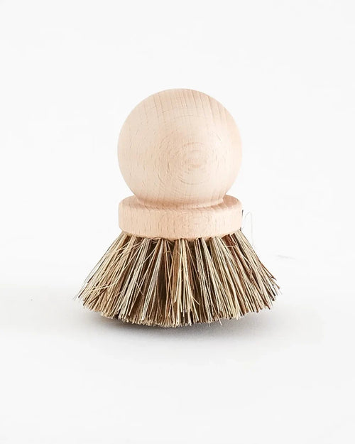 Dish Brush