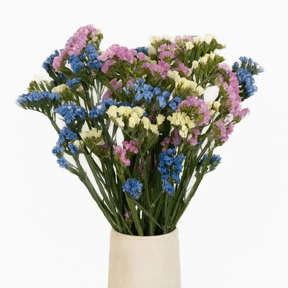 Tissue Culture Statice Farm Mix Flower Stem - Image