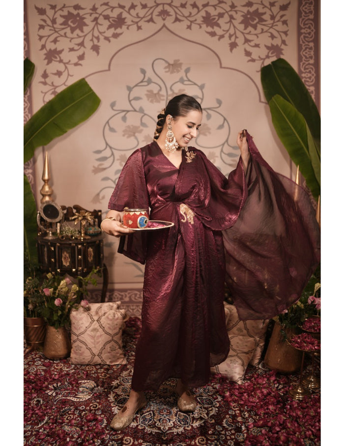 Haathi red gown saree dress
