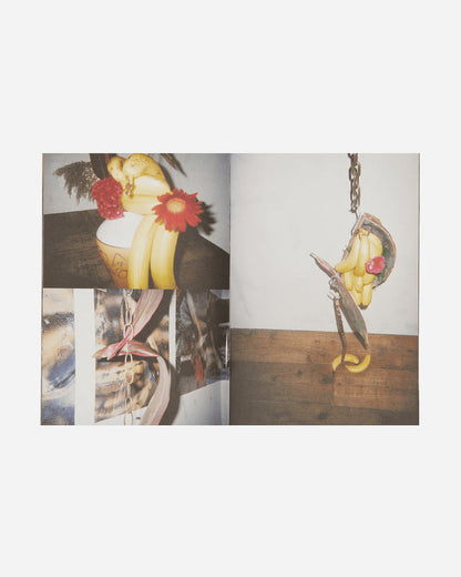 Innen Publishing Ikebana By Side Effects Multicolor Books and Magazines Books IPIKEBANA 001