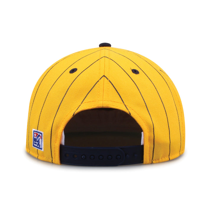Michigan '90 Pin Snapback