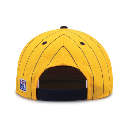 Michigan '90 Pin Snapback