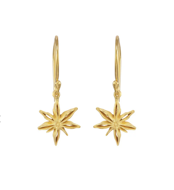 Mini Star Anise Earrings-Catherine Weitzman-Swag Designer Jewelry
