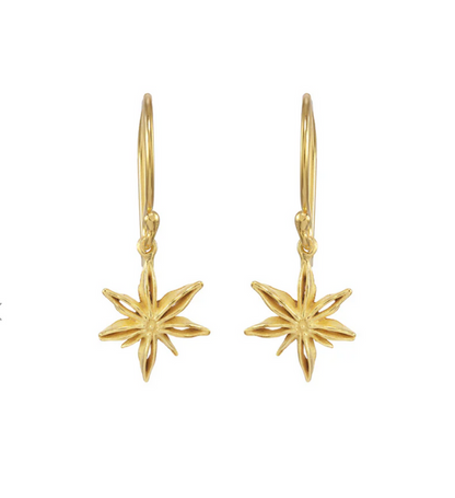 Mini Star Anise Earrings-Catherine Weitzman-Swag Designer Jewelry