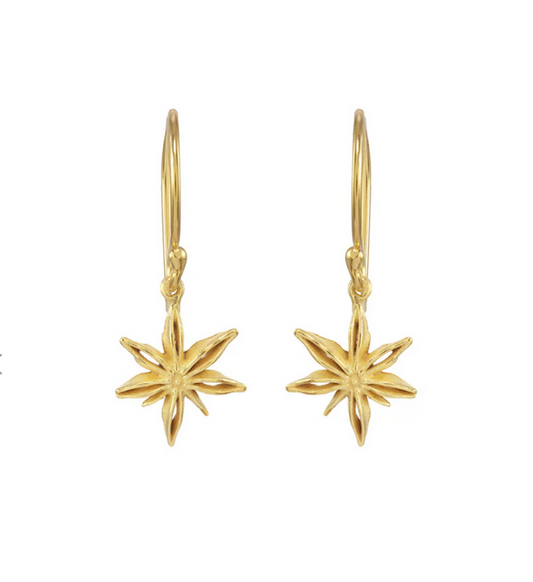 Mini Star Anise Earrings-Catherine Weitzman-Swag Designer Jewelry