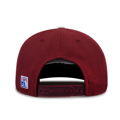 Mississippi State '93 Til Snapback