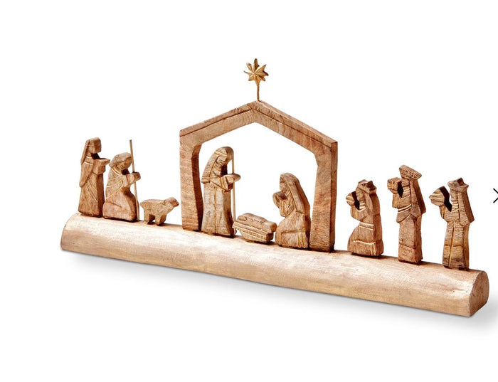 Nativity SCence Log
