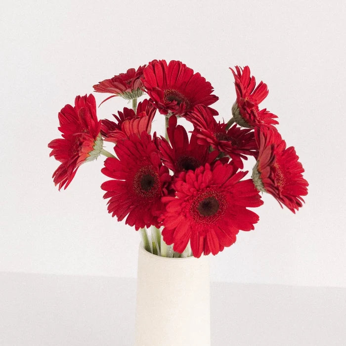 Red Gerbera Daisy Vase - Image