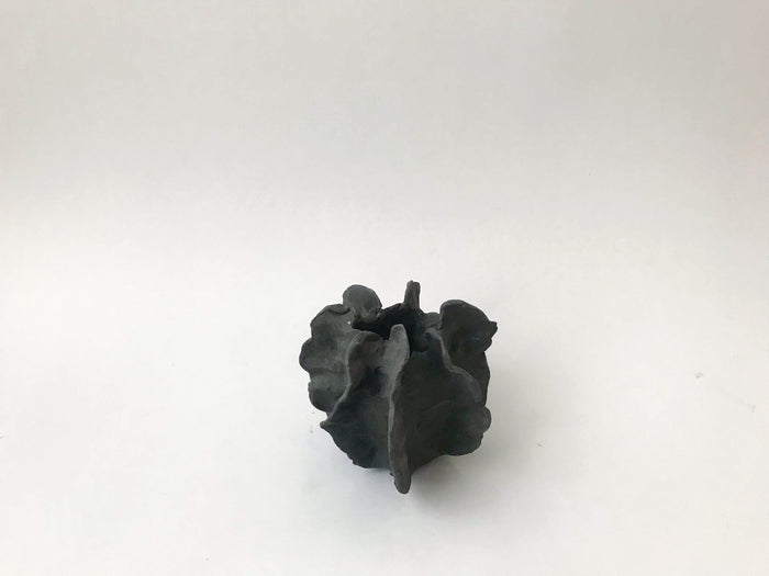 Sea Urchin Vessels