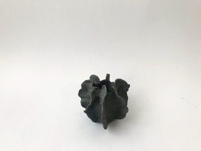 Sea Urchin Vessels
