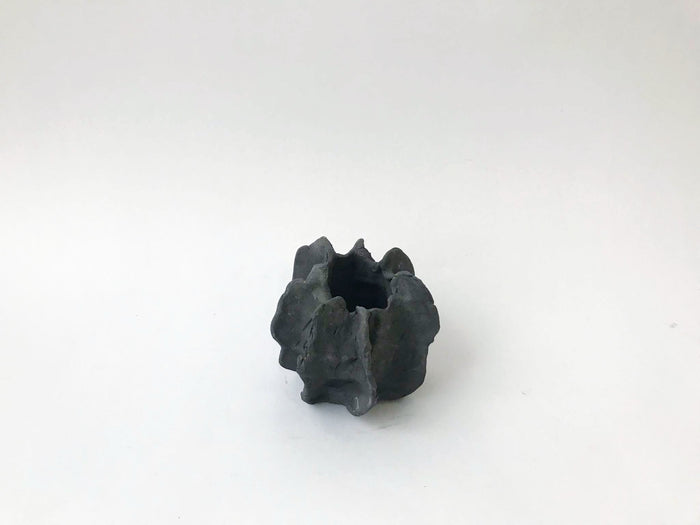 Sea Urchin Vessels