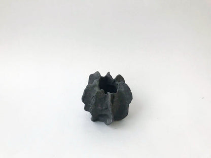 Sea Urchin Vessels