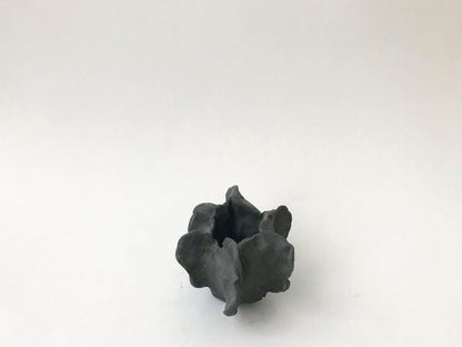 Sea Urchin Vessels