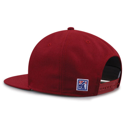 South Carolina 86er Snapback