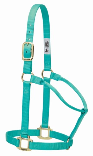 Weaver Original Non-Adjustable Halter , 1"